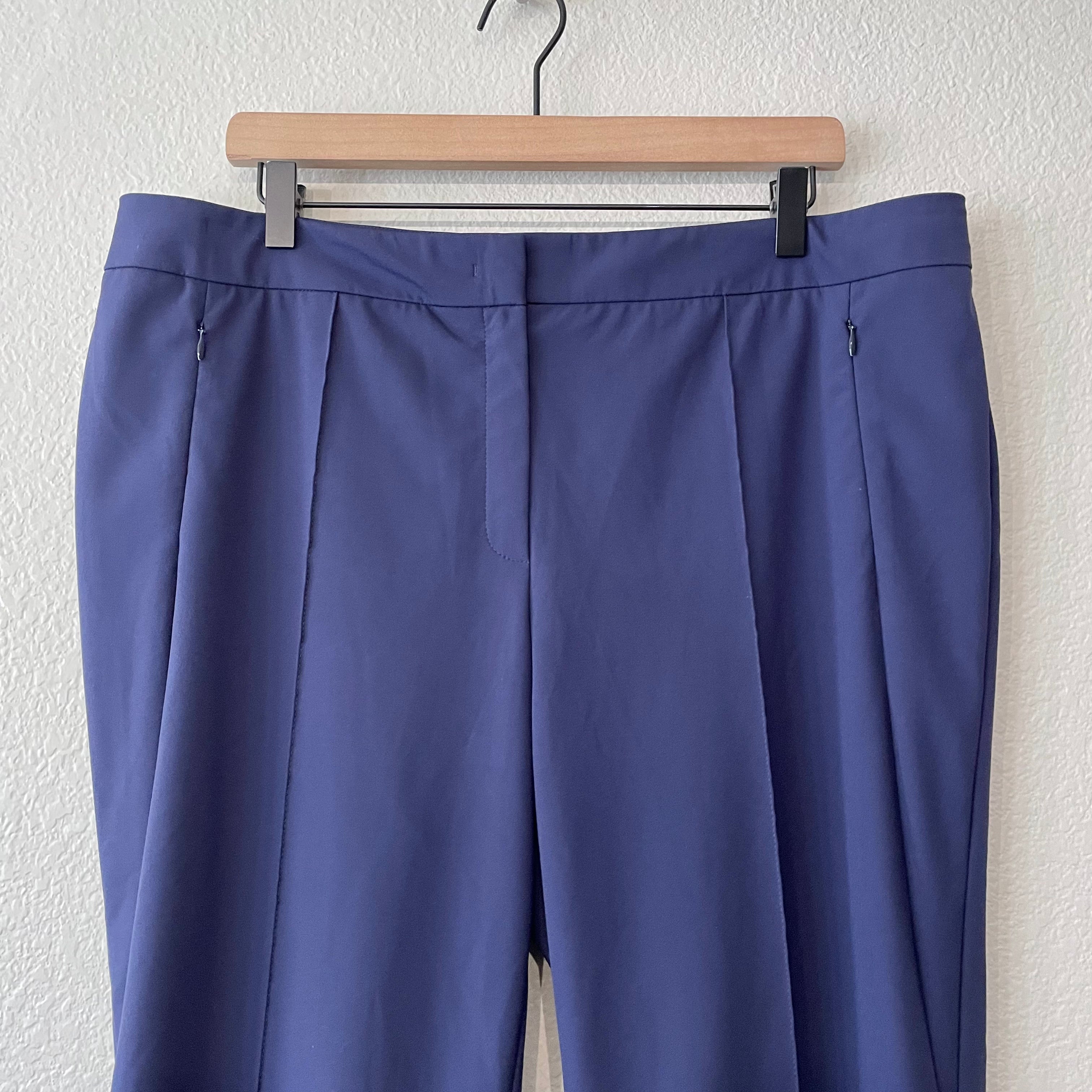 Front Seam Pleated Dress Pants