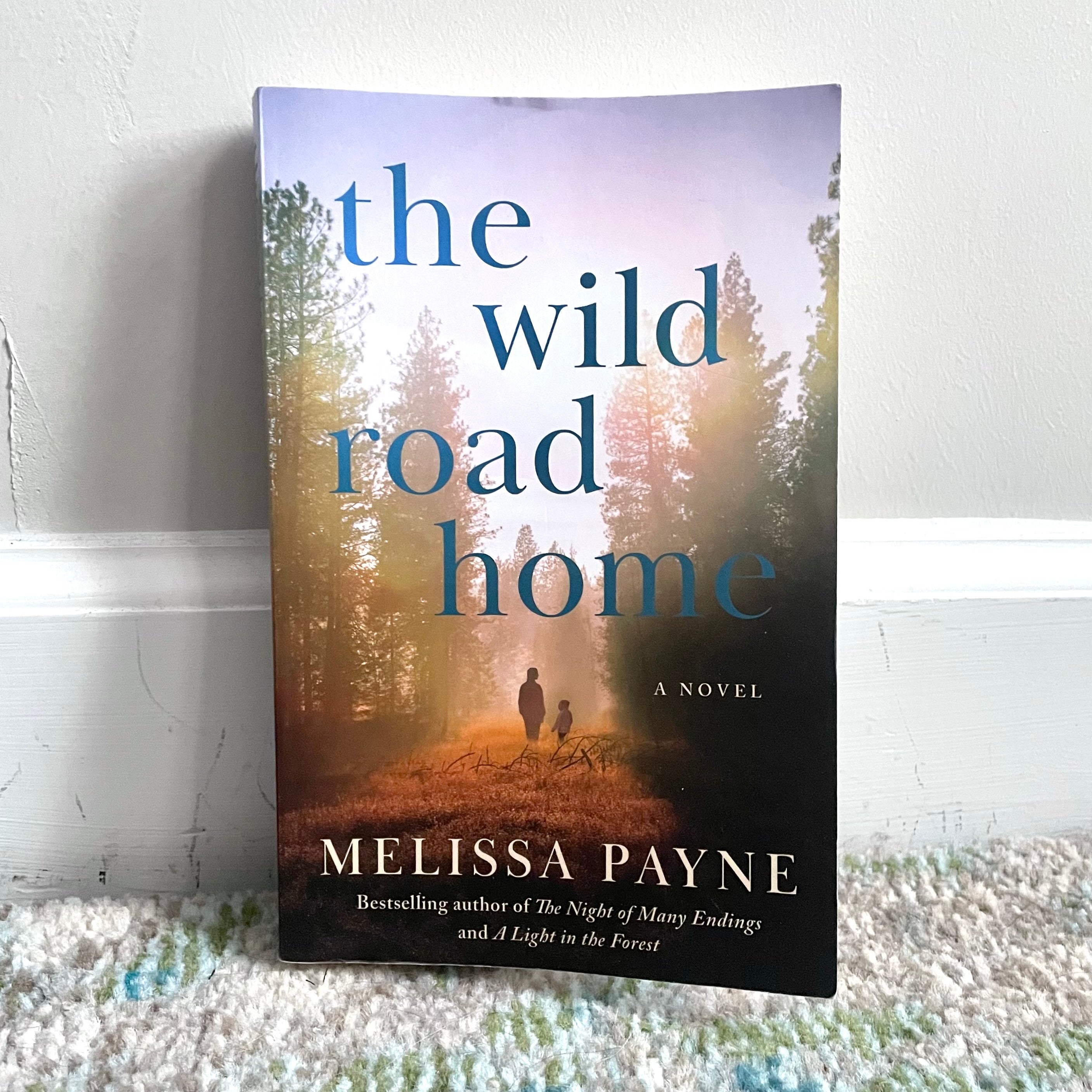 The Wild Road Home