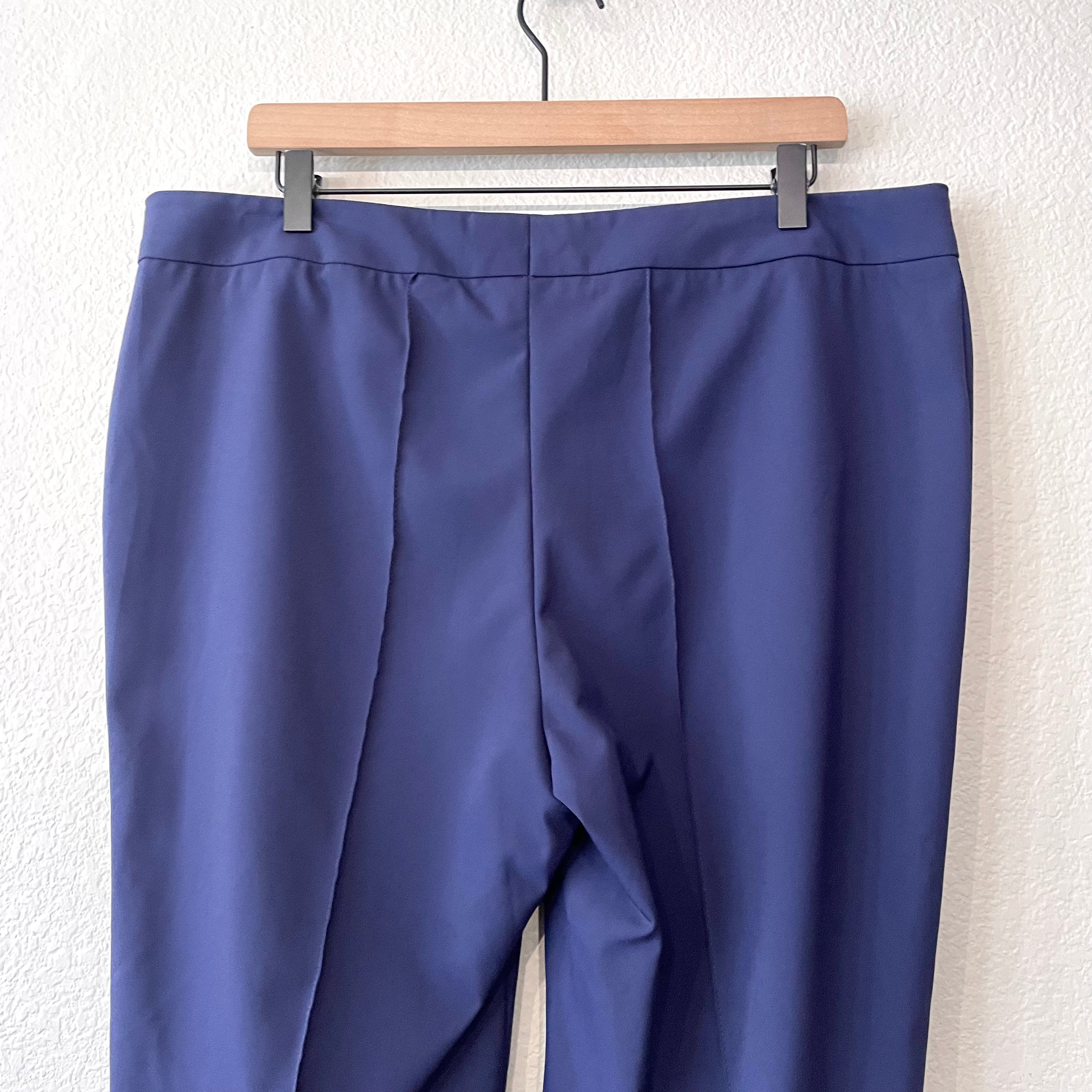 Front Seam Pleated Dress Pants