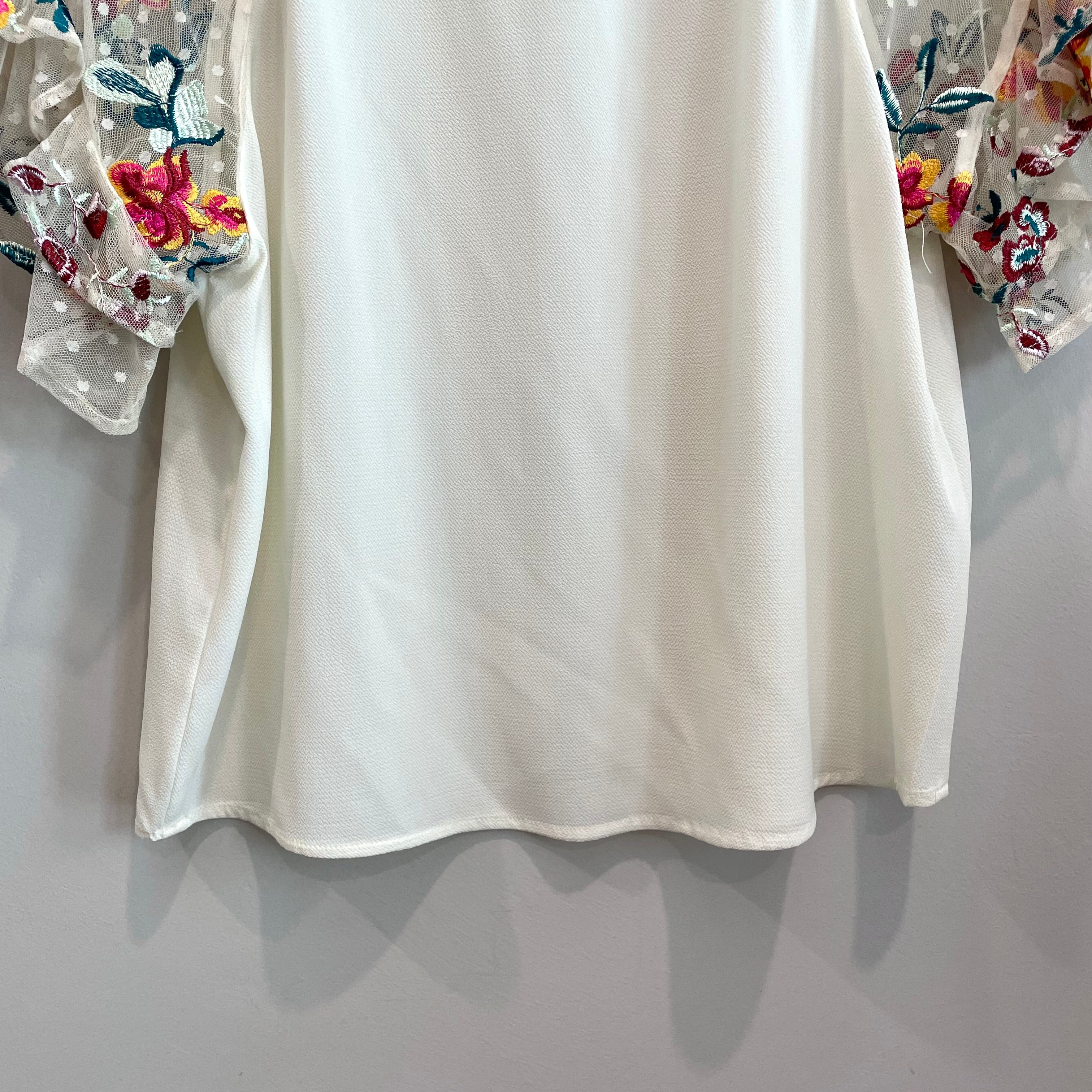 Floral Sheer Embroidered Sleeve Top