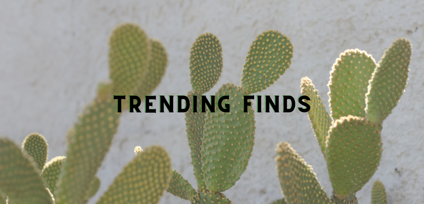 Trendy Women’s Clothing Finds Secondhand Thrifted Must Haves