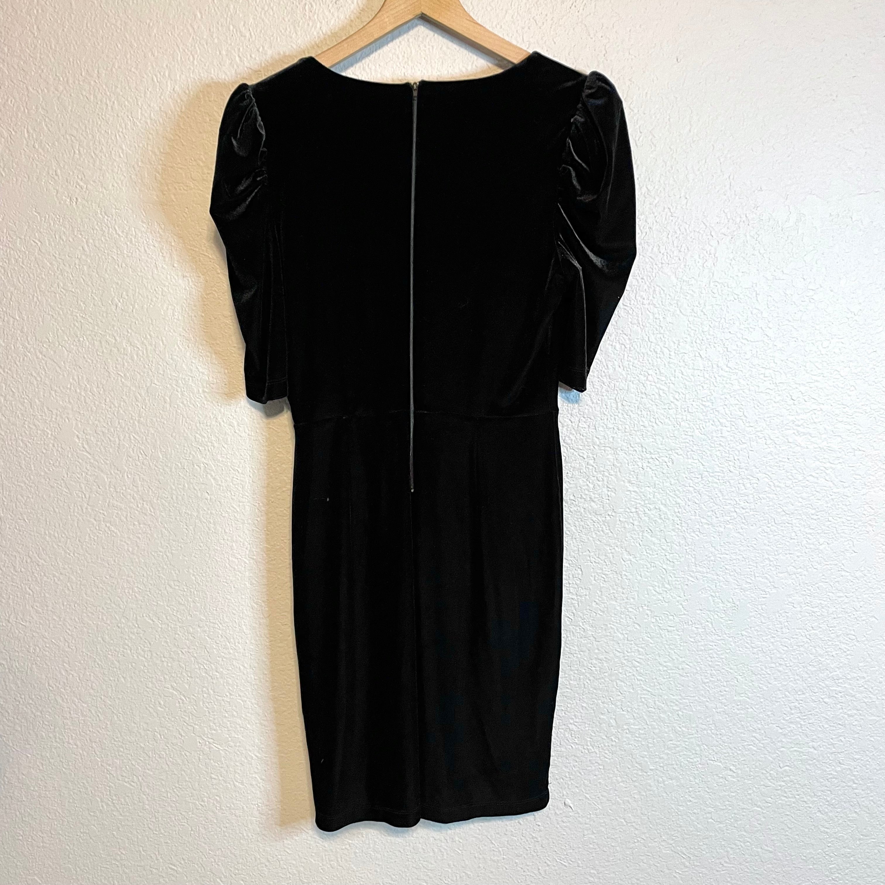 Puff Sleeve Velvet Dress